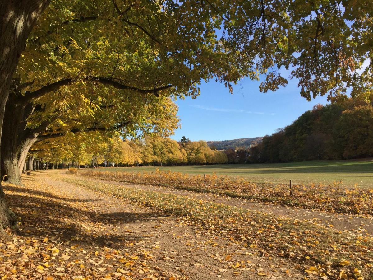 Suite Mit Blick Auf Die Lichtentaler Allee Baden-Baden Luaran gambar